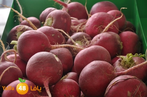 souq yaffa 0123 (34).JPG